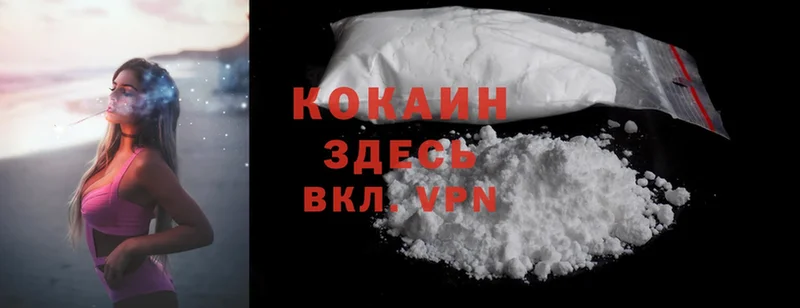 omg как войти  где можно купить наркотик  Невинномысск  Cocaine Fish Scale 